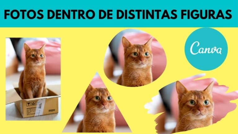 Como poner figuras en Canva