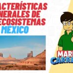 Descubre las características generales que debes conocer ¡Expertos revelan los detalles!