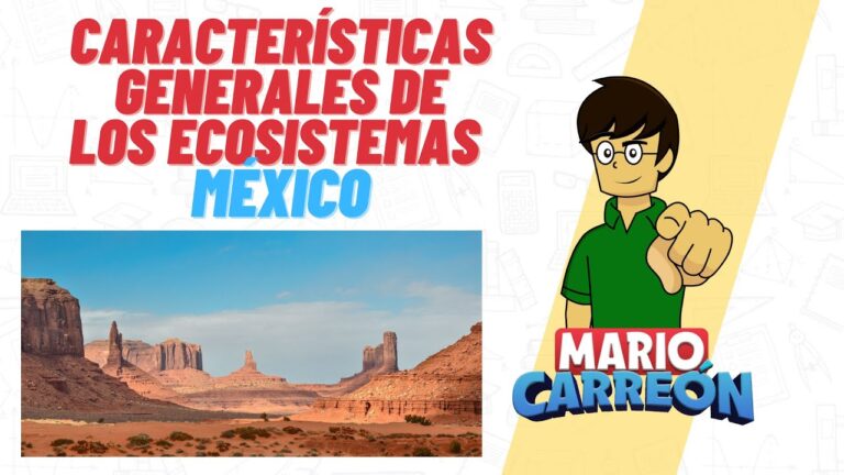 Cuales son las caracteristicas generales