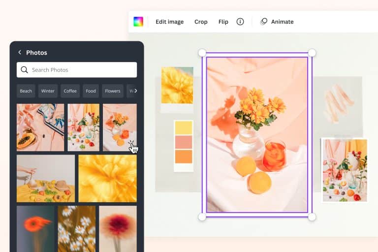 descubre los multiples tipos de disenos en canva impresionantes opciones para potenciar tu creatividad